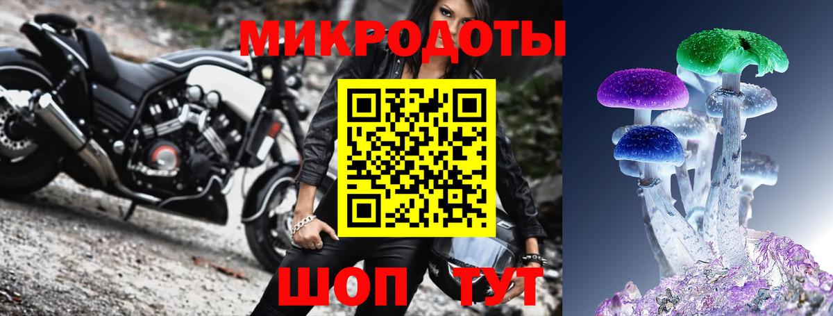 Псилоцибиновые грибы GOLDEN TEACHER Котлас