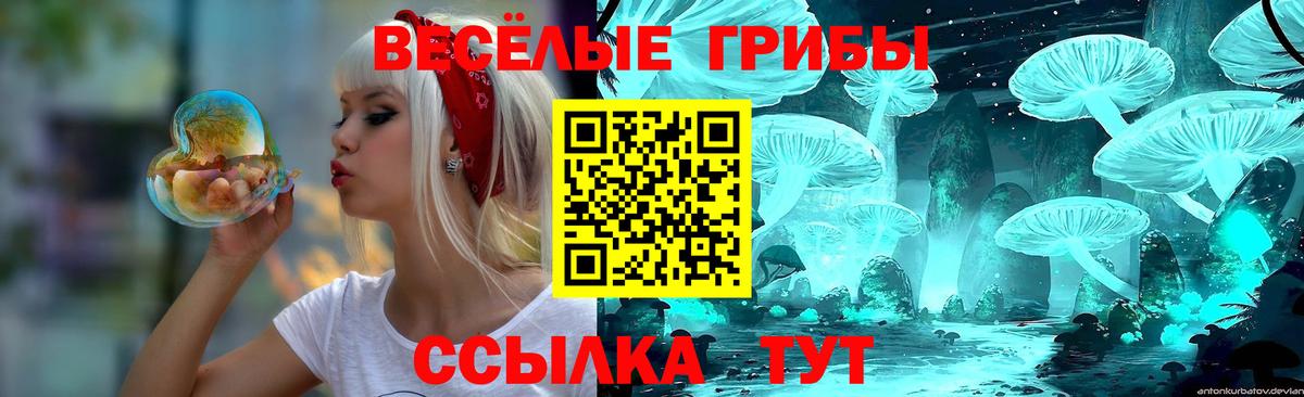 Псилоцибиновые грибы MAGIC MUSHROOMS  Псилоцибиновые грибы Magic Shrooms  Вход с VPN  Котлас 